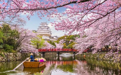 SAKURA ZAMANI JAPONYA TURU