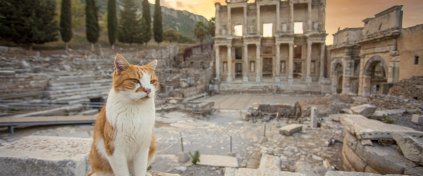 EGENİN KÖYLERİ TURU