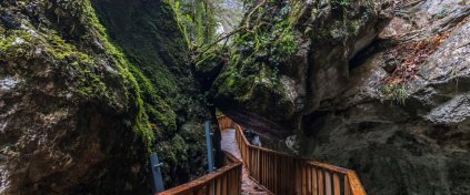 UÇAKLI SİNOP - KASTAMONU TURU