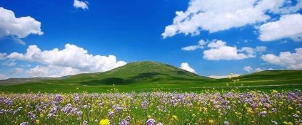 DOĞU ANADOLU