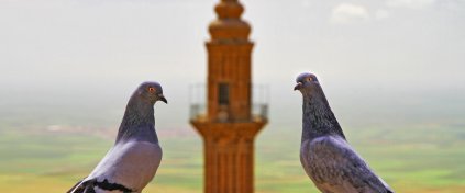 ŞANLIURFA - MARDİN - DİYARBAKIR TURU